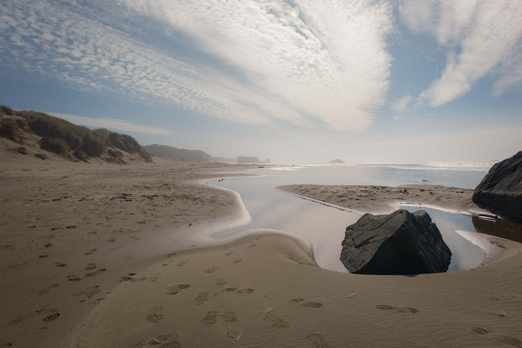 Pacific Northwest Road Trip photo titled Pacific Coast 36